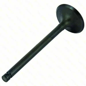 lawn mower GENUINE INTAKE VALVE » Internal Engine