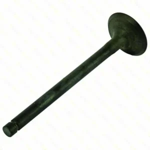 lawn mower GENUINE EXHAUST VALVE » Internal Engine