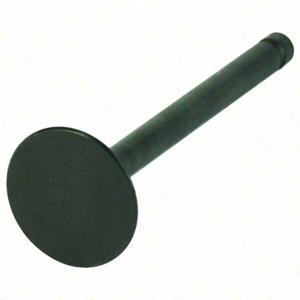 lawn mower GENUINE INTAKE VALVE » Internal Engine