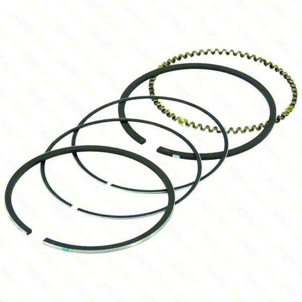 lawn mower GENUINE RING SET » Internal Engine