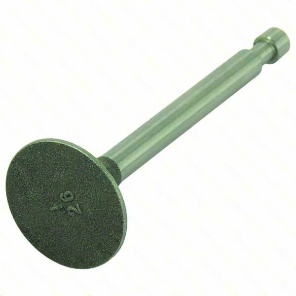 lawn mower GENUINE INTAKE VALVE » Internal Engine