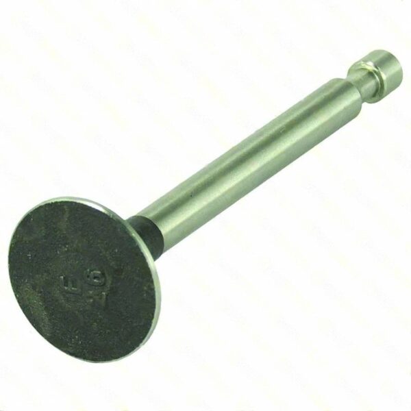 lawn mower GENUINE EXHAUST VALVE » Internal Engine