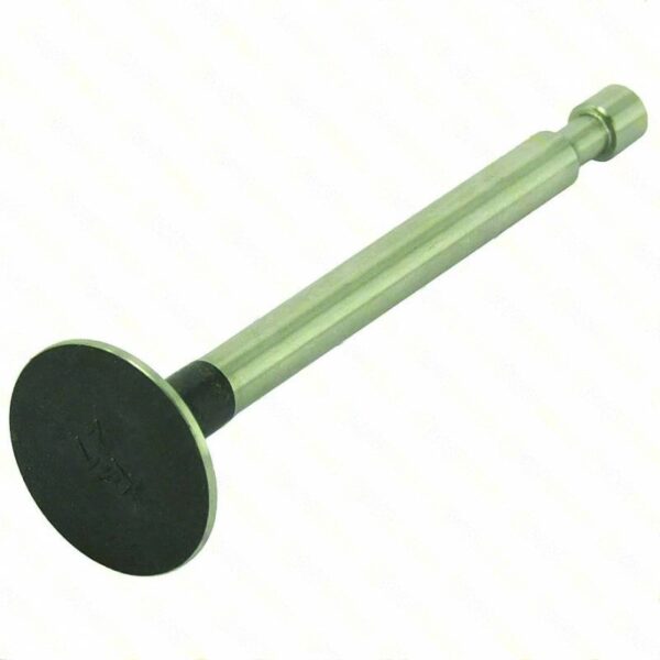 lawn mower GENUINE EXHAUST VALVE » Internal Engine