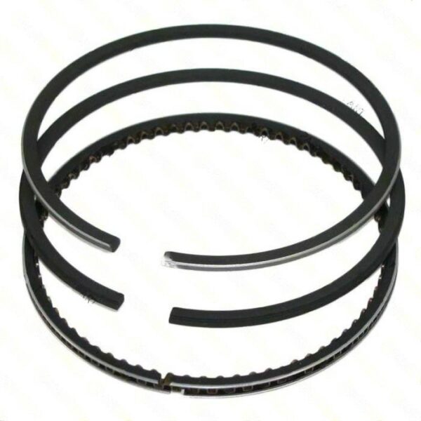 lawn mower RING SET » Internal Engine