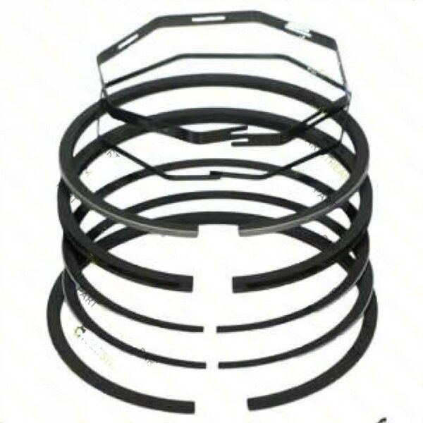 lawn mower RING SET » Internal Engine