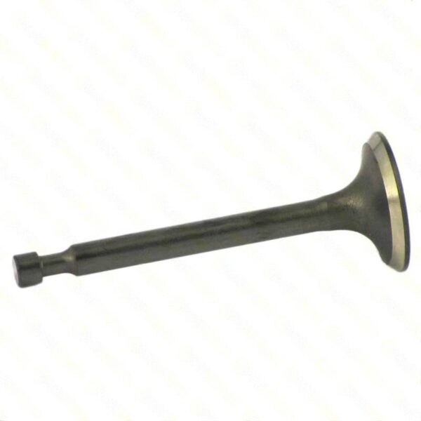 lawn mower INTAKE VALVE » Internal Engine