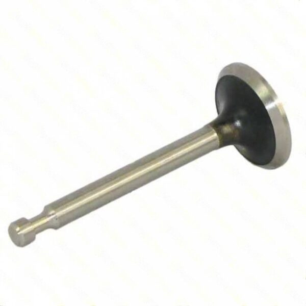 lawn mower EXHAUST VALVE » Internal Engine