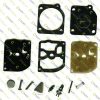 lawn mower REPAIR KIT » Carburettor & Fuel